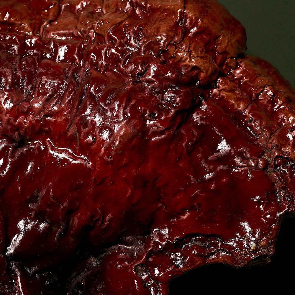 Gros plan d'une surface brune texturée. Fond sombre.