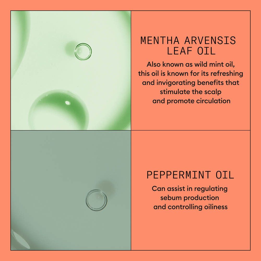 Après-shampoing NIOXIN Système 4 : Pour des cheveux plus épais et plus volumineux. Renforce et nourrit.