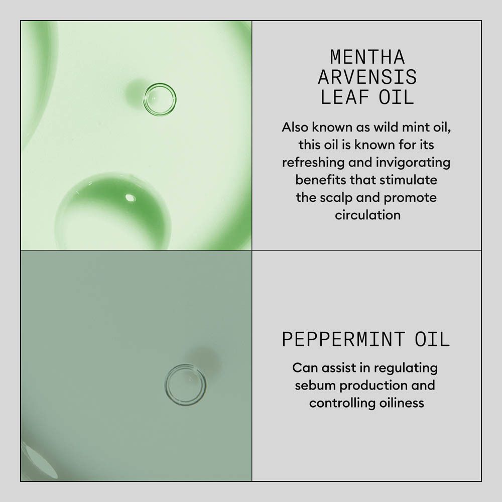 Nioxin System Kit 4 avec shampooing, après-shampooing et mousse.