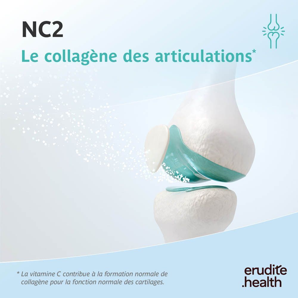 NC2 : Le collagène des articulations. Représentation schématique d'une articulation de genou.