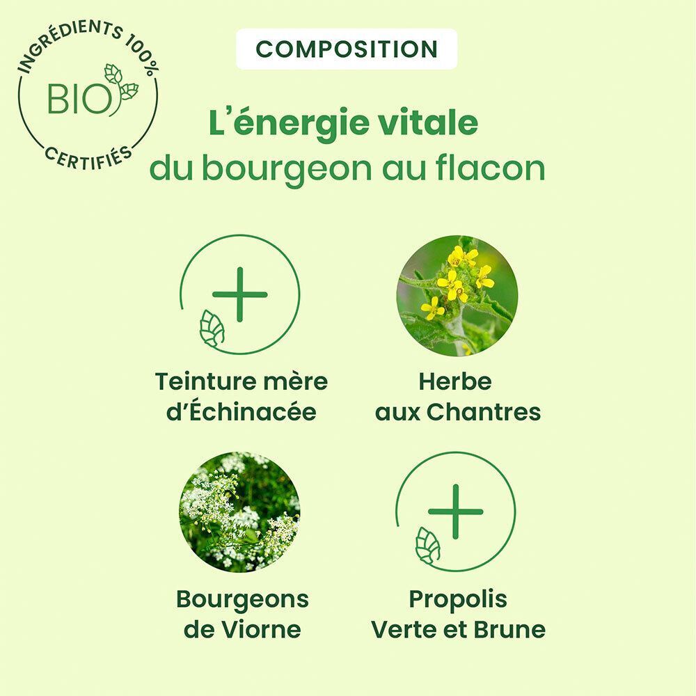 Graphique avec quatre éléments. En haut: certification Bio. En dessous: Teinture mère, Herbe aux Chantres, Bourgeons de Viorne, Propolis Verte et Brune.