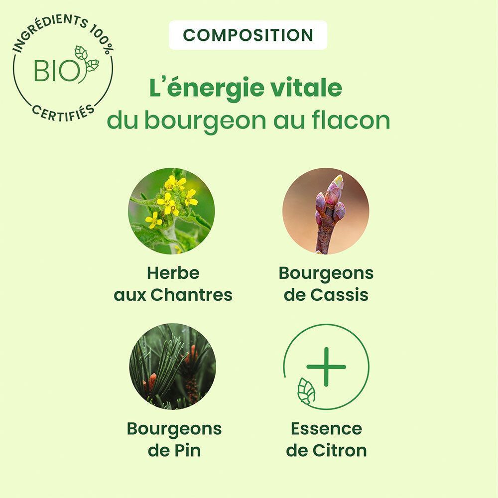 Trois logos : 100% d'origine naturelle, certification bio, ultra-concentré. Une boîte de gommes à mâcher HerbalGem.