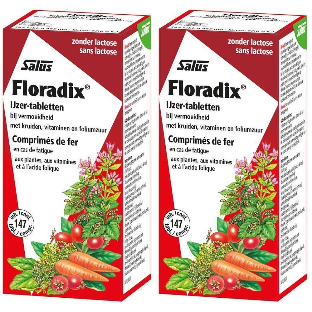 Deux boîtes de Floradix® Eisentabletten. Emballage rouge et blanc avec nom du produit et illustrations de légumes et d'herbes.