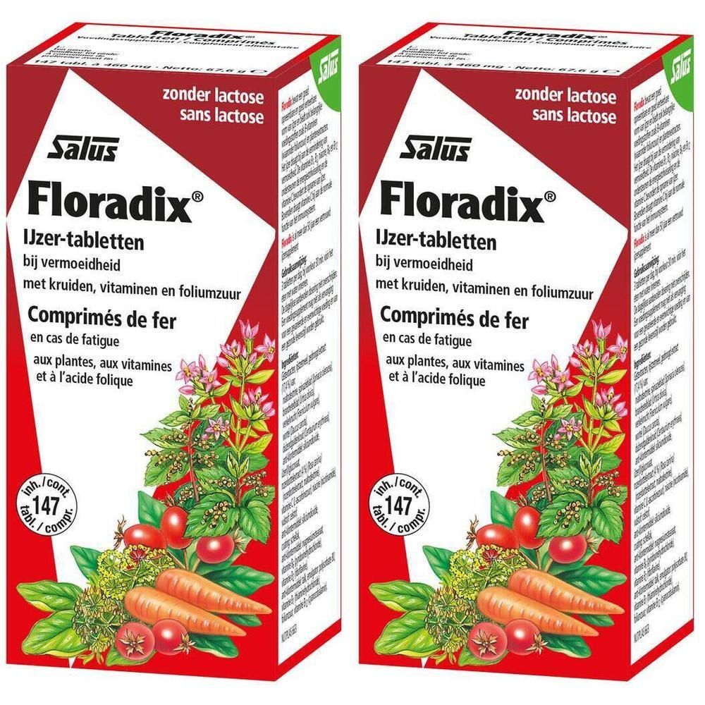 Deux boîtes de Floradix® Eisentabletten. Emballage rouge et blanc avec nom du produit et illustrations de légumes et d'herbes.