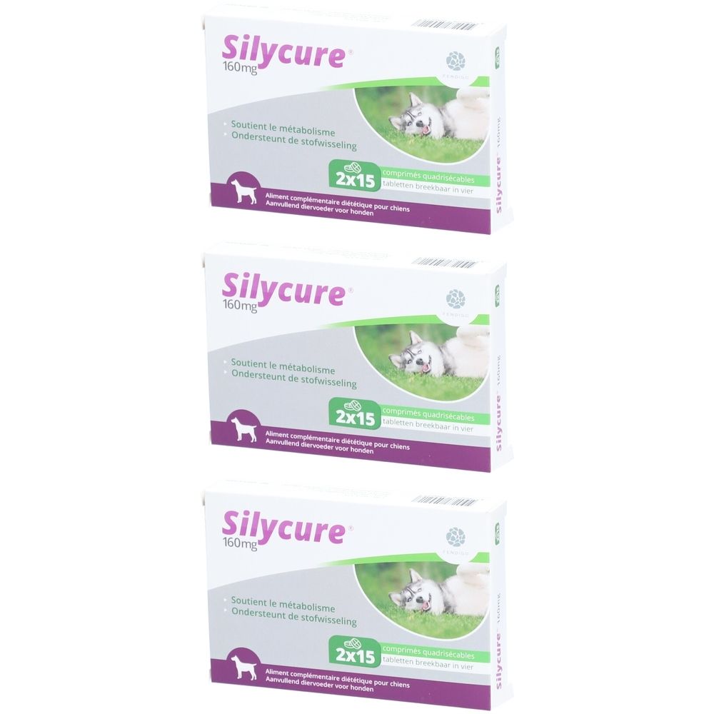 Trois boîtes de Silycure 160mg. Emballage blanc avec nom du produit, dosage et image d'un chien. Texte en français et néerlandais.