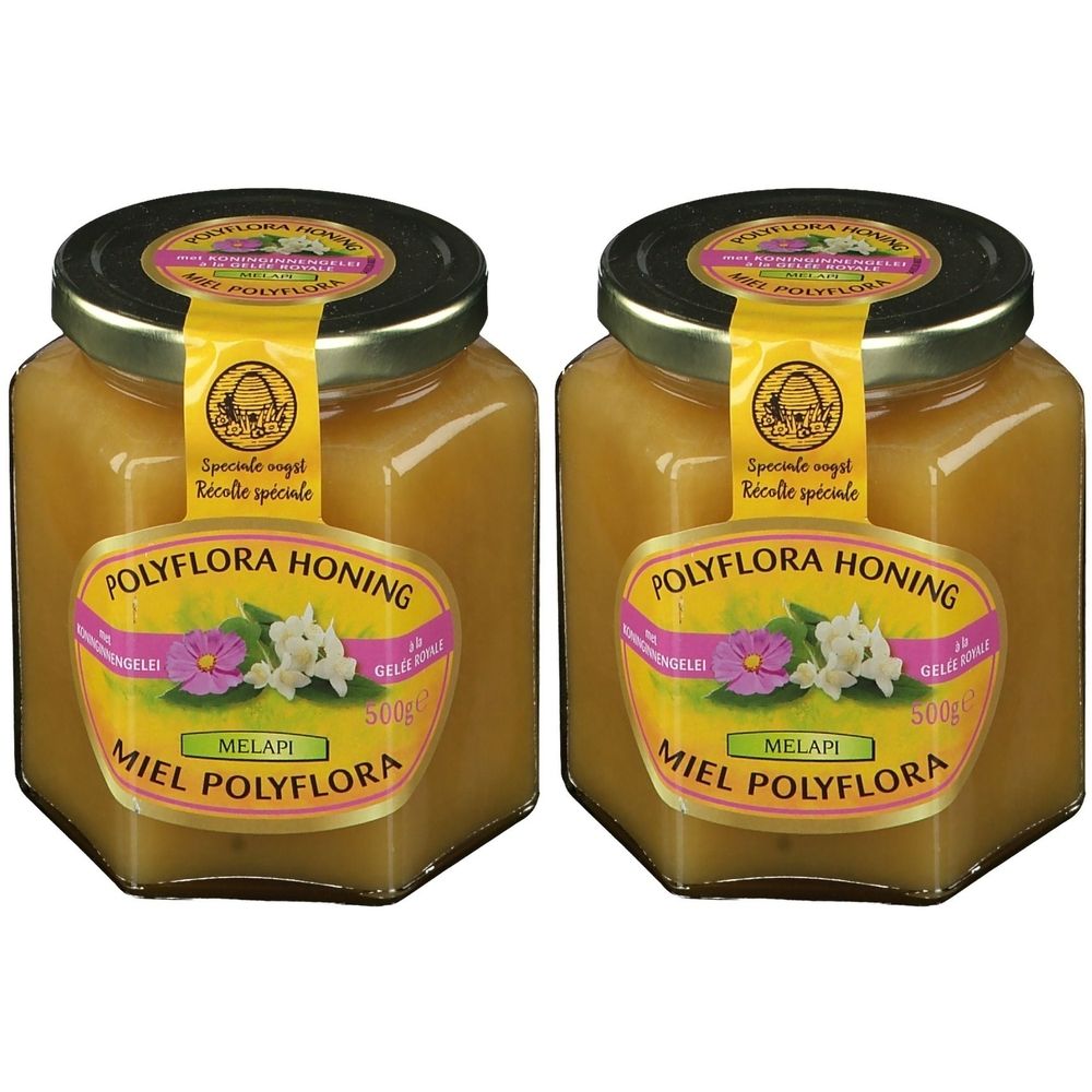 Deux pots de miel avec étiquettes. Inscription: Polyflora Honing, Miel Polyflora, 500g. Liquide jaune visible.