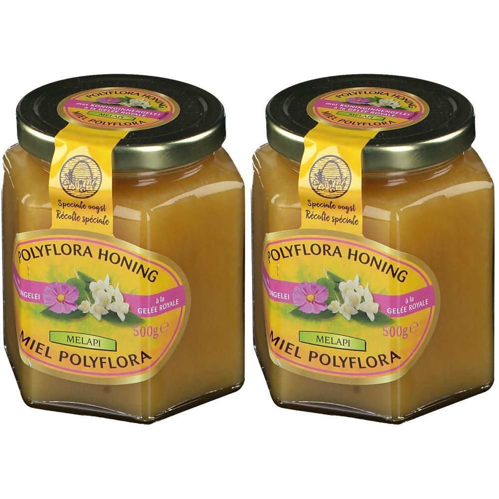 Deux pots de miel avec étiquettes. Inscription: Polyflora Honing, Miel Polyflora, 500g. Liquide jaune visible.