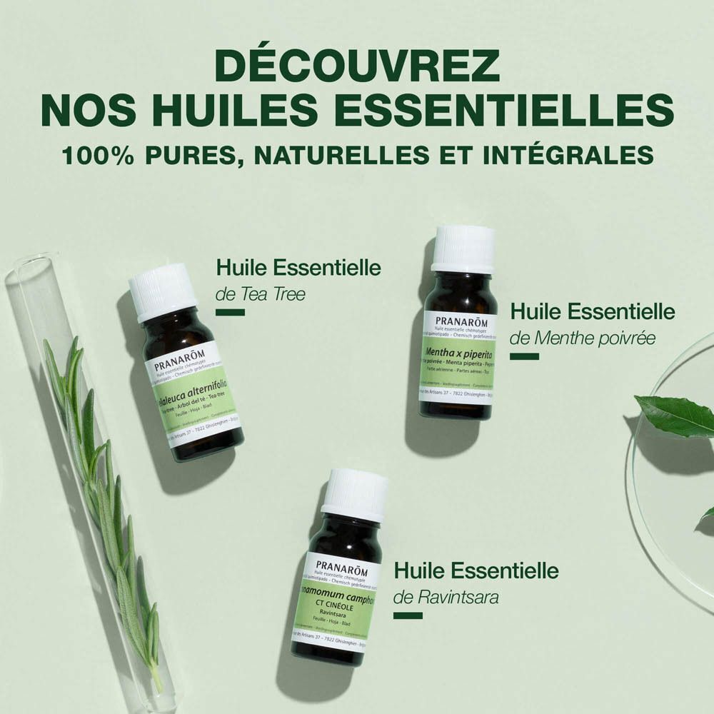 Trois flacons d'huiles essentielles. Texte : Tea Tree, Menthe poivrée, Ravintsara. Marque : Pranarôm.