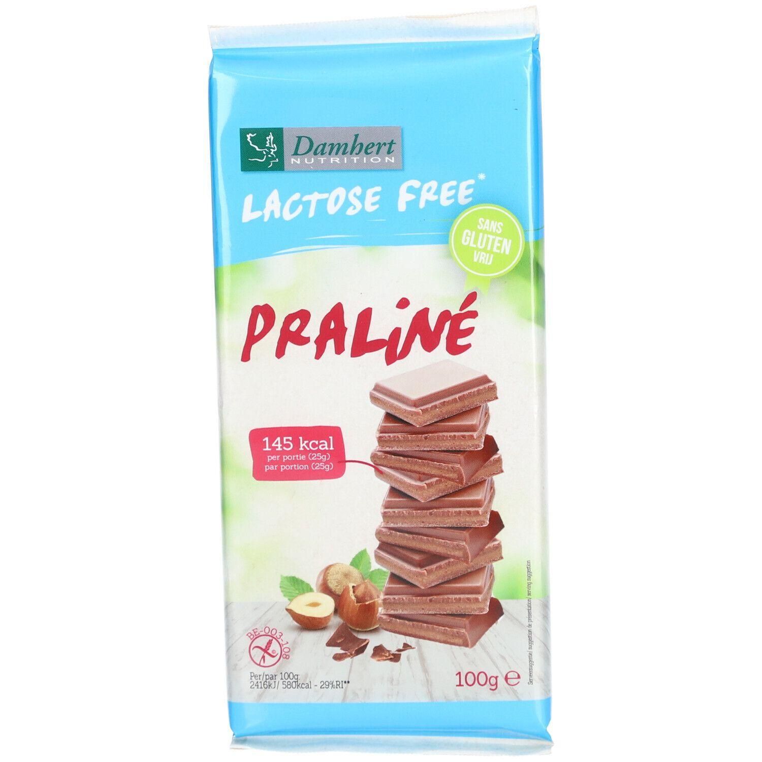 Tablette de chocolat praliné. Inscription: Lactose Free, Sans Gluten. 100g. Noisettes et morceaux de cacao.