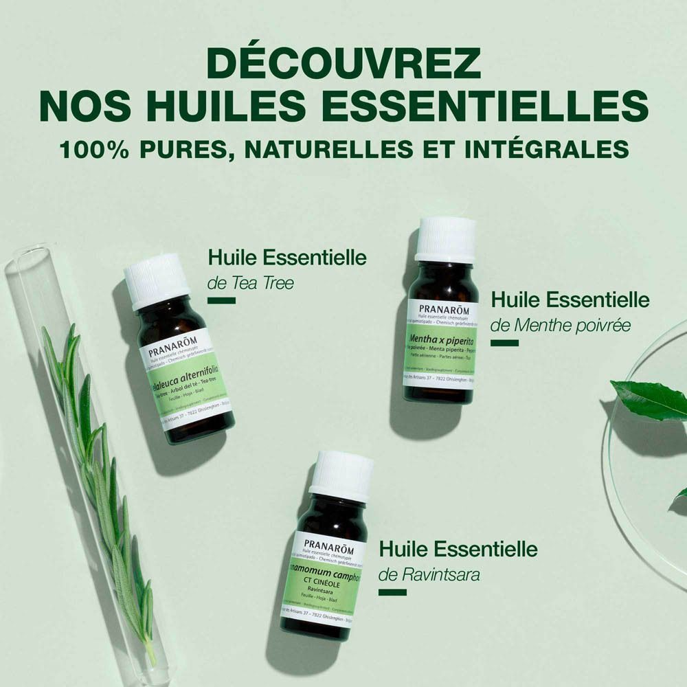 Trois flacons d'huiles essentielles: Tea Tree, Menthe poivrée, Ravintsara. Texte: 100% pures, naturelles et intégrales.