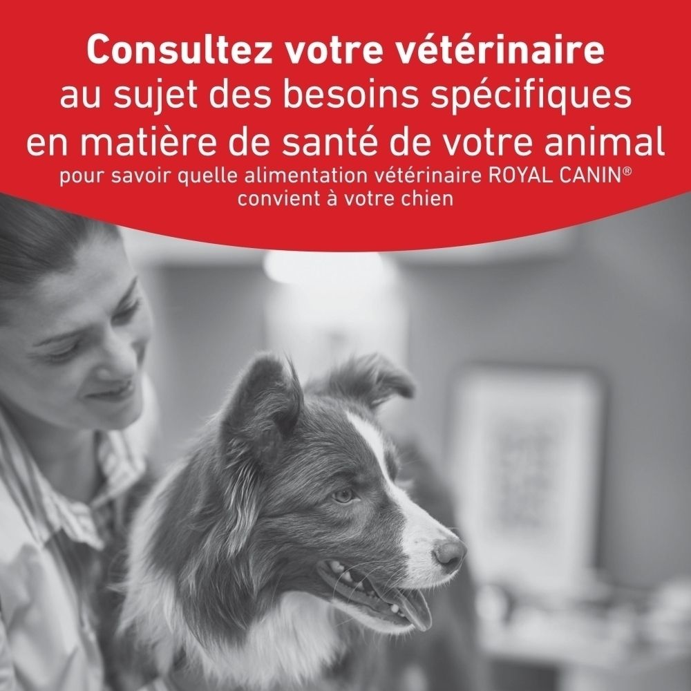 Consultez votre vétérinaire pour les besoins de santé spécifiques de votre animal.