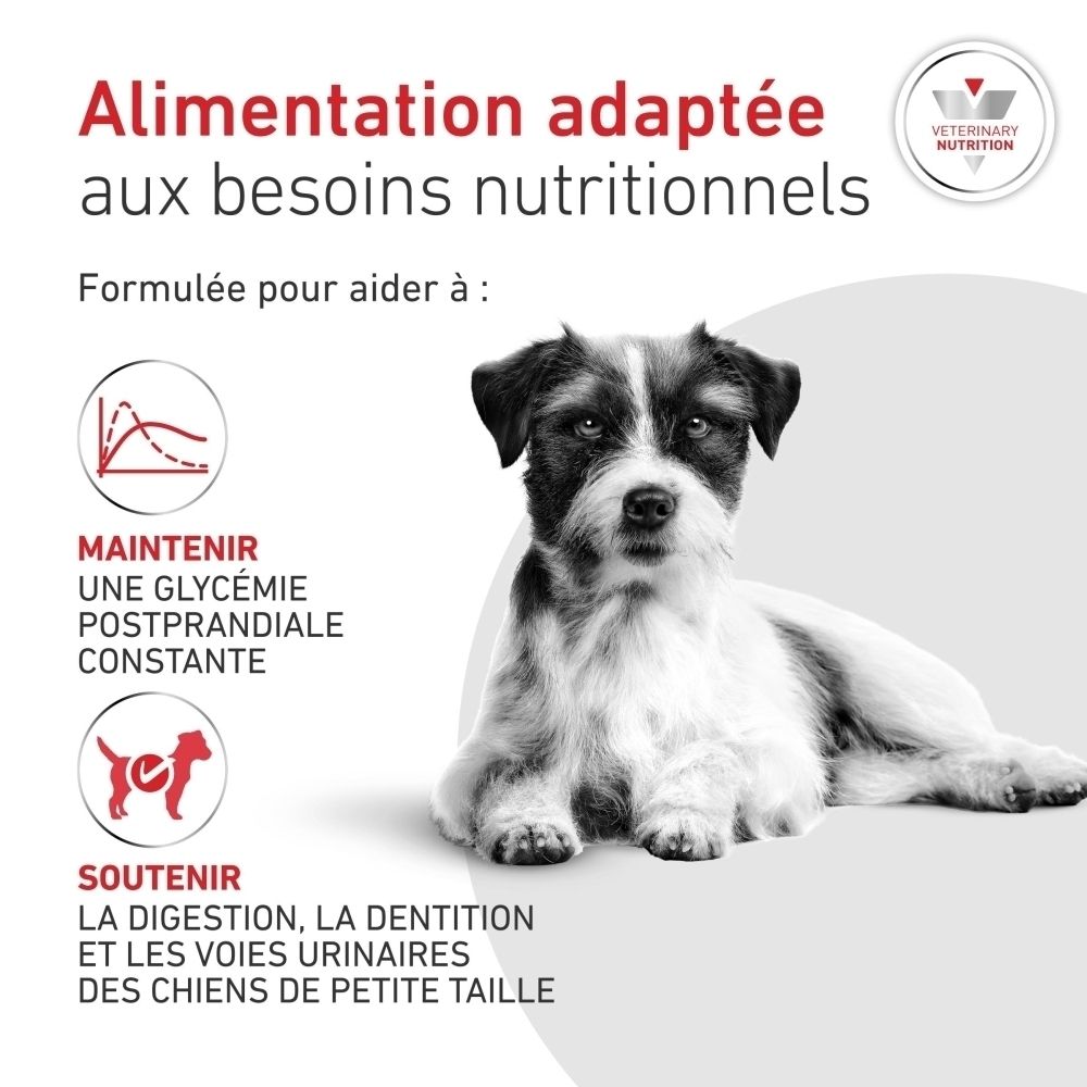 Alimentation adaptée pour aider à maintenir la glycémie et soutenir la digestion.