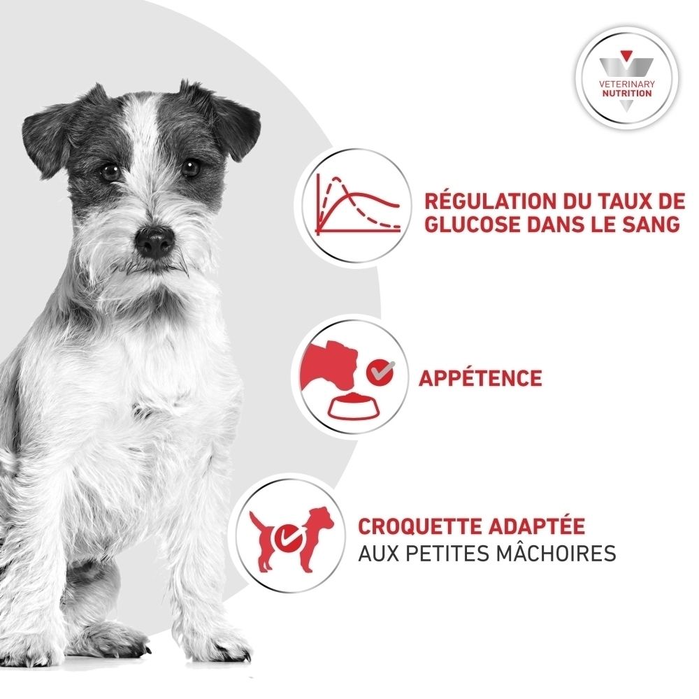 Croquettes adaptées pour la régulation de la glycémie, l'appétence et les petites mâchoires.