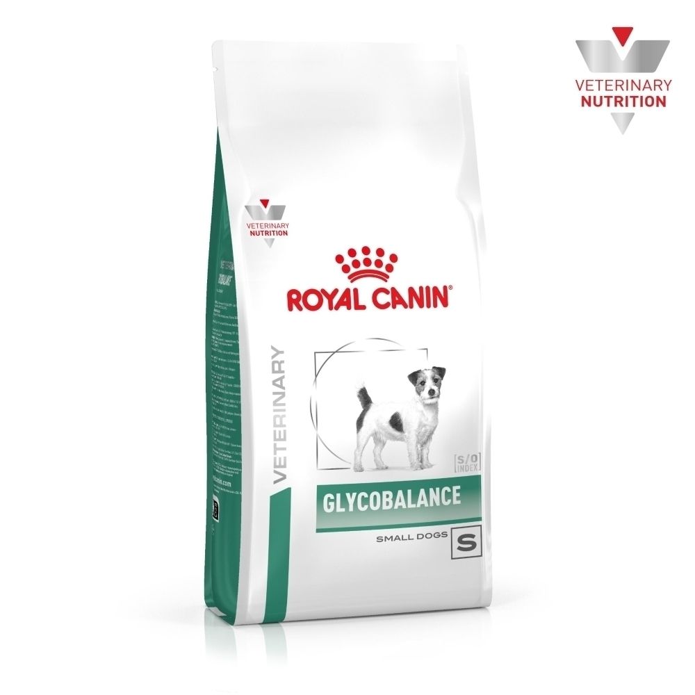 Chien mangeant une nourriture appétente et digestible dans une gamelle rouge.