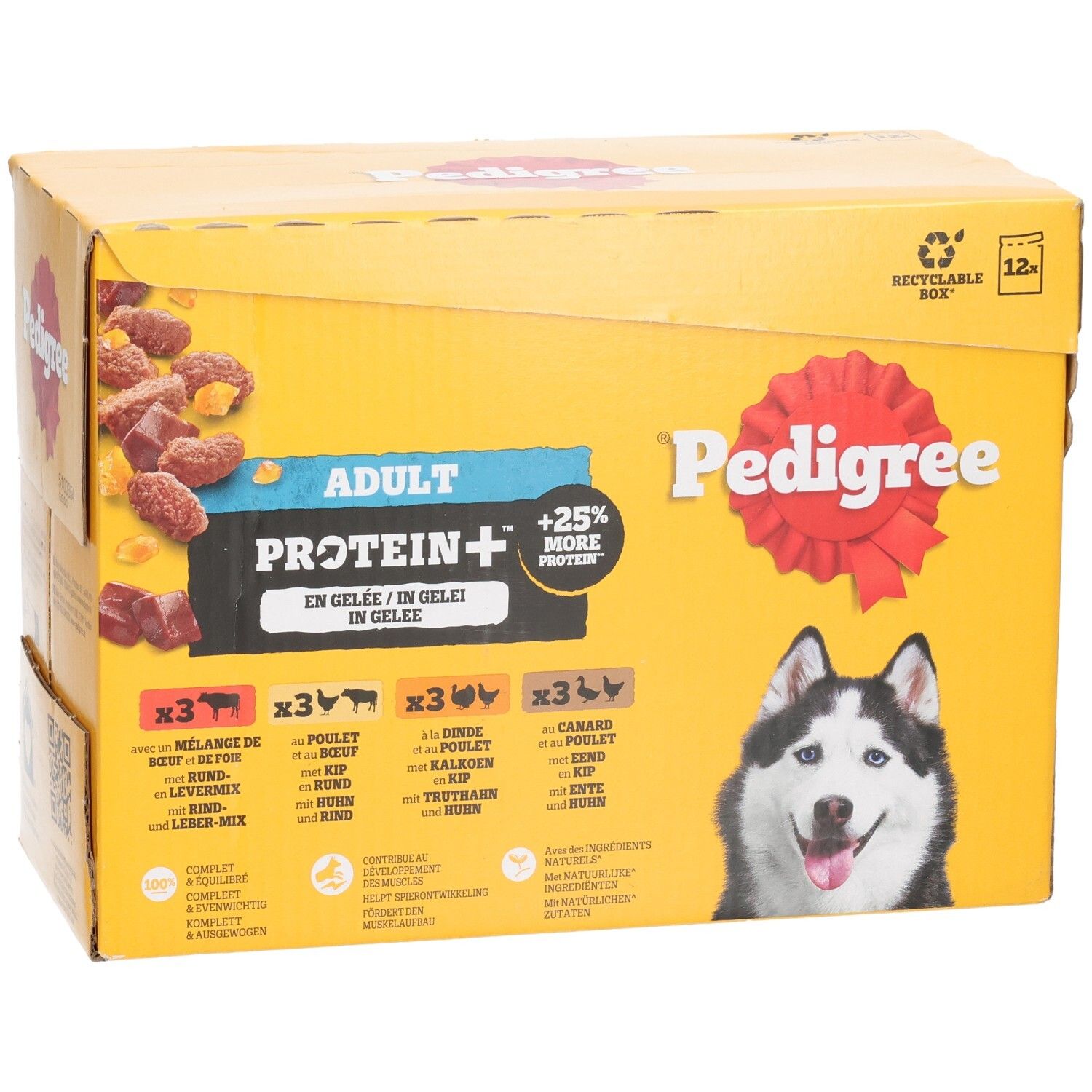 Pedigree Adulte Protein+ nourriture pour chien en gelée, pack de 12. Gros plan sur les variantes bœuf, poulet, agneau et dinde.