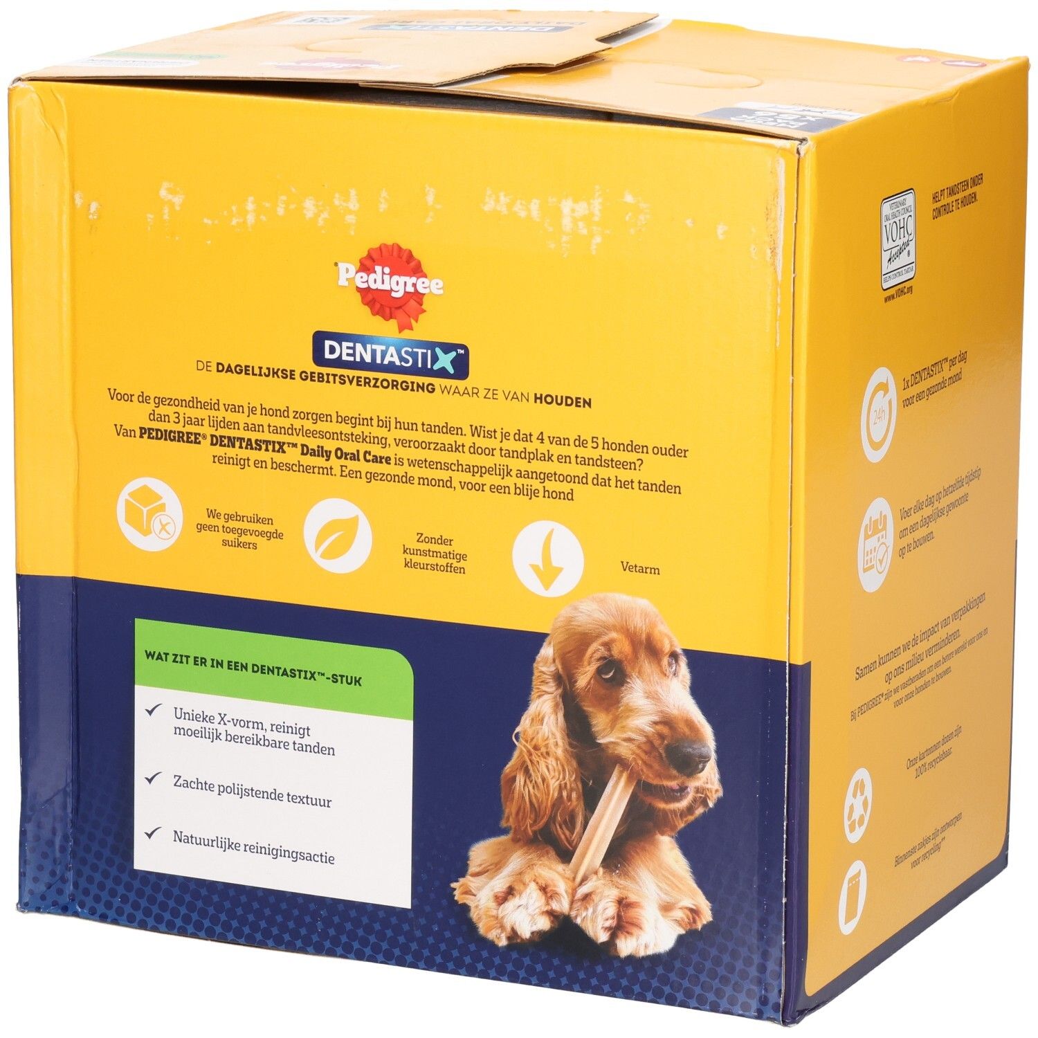 Côté Pedigree Dentastix Mega Pack 56 unités avec chien et avantages pour les soins dentaires.