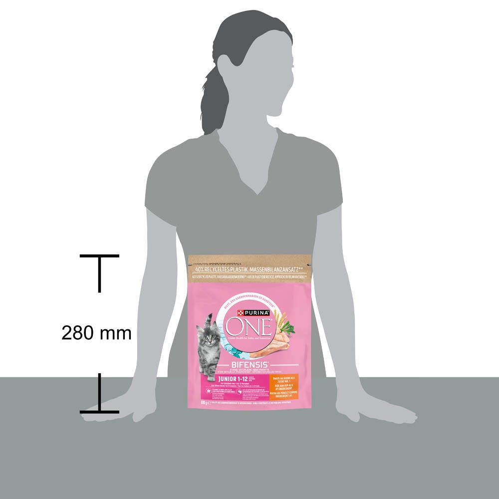 Nourriture pour chat Purina ONE, Junior, 280 mm de haut.