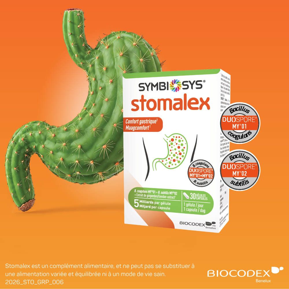 Arrière d'une boîte SYMBIOSYS Stomalex avec liste des ingrédients et posologie.