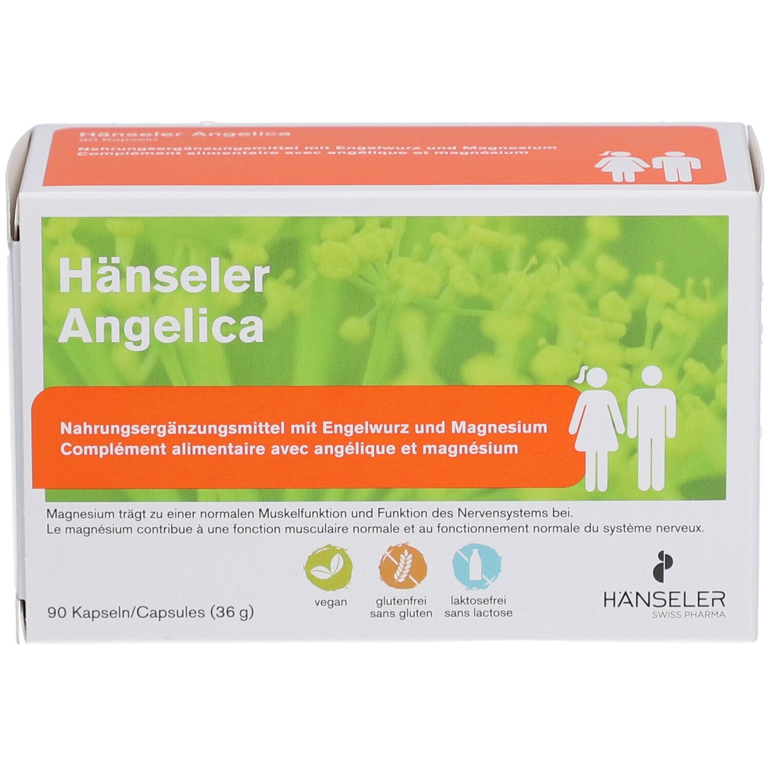 HANSELER Angelica