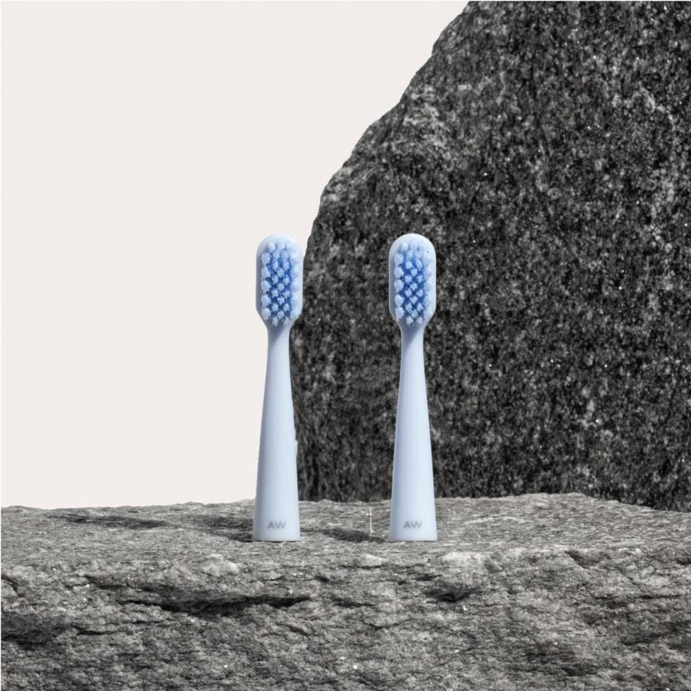 Deux têtes de brosse bleues sur une pierre grise. Les poils sont bleus.