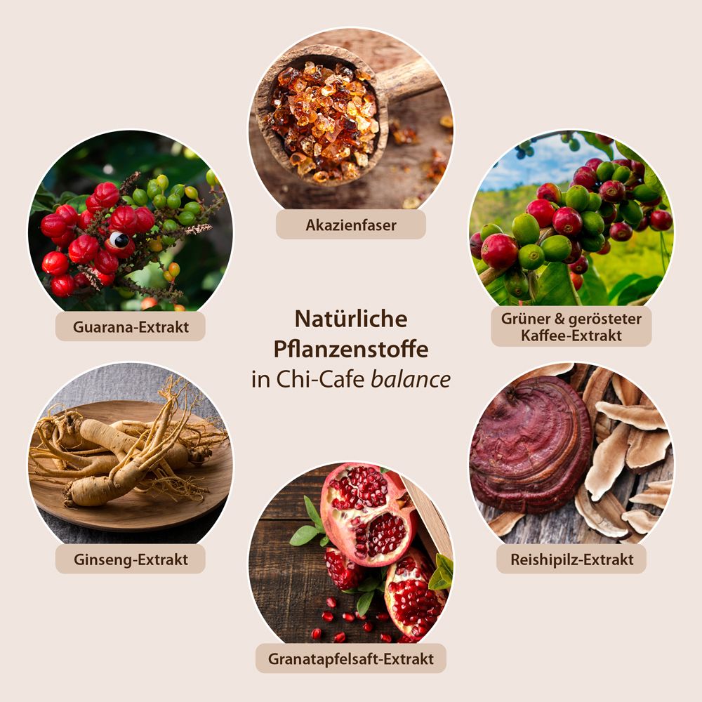 Graphique avec ingrédients végétaux naturels dans Chi-Cafe balance : guarana, fibre d'acacia, café vert, ginseng, grenade, champignon reishi.