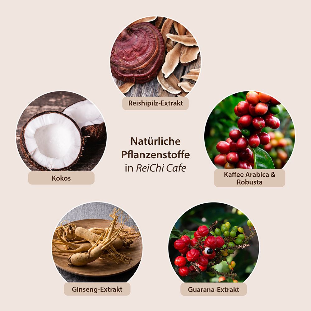 Ingrédients de ReiChi Cafe. Icônes: Extrait de Reishi, noix de coco, café, extrait de ginseng, extrait de guarana. Substances végétales naturelles.