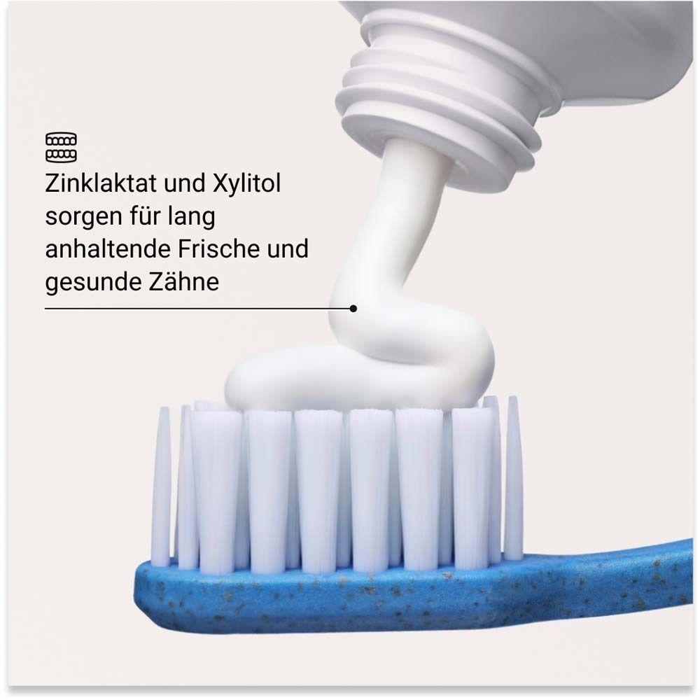 Dentifrice sur brosse à dents. Dentifrice sortant du tube. Texte: lactate de zinc et xylitol.