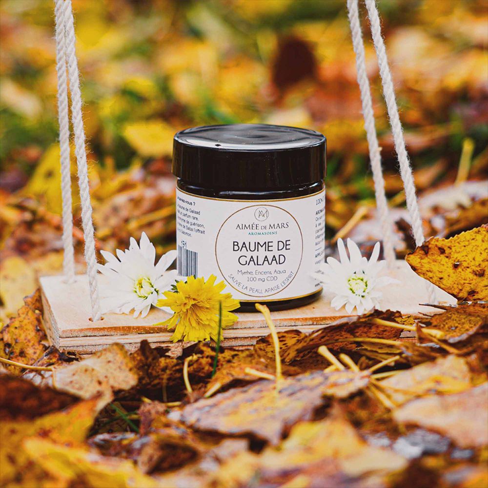 Pot sur une balançoire en bois, entouré de feuilles d'automne et de fleurs. Étiquette : Baume de Galaad.