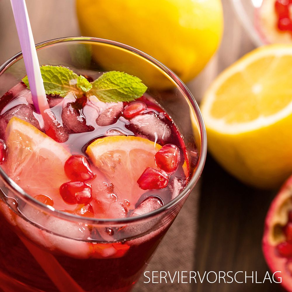 Verre avec boisson. Glaçons, tranches de citron, graines de grenade et menthe. Suggestion de présentation.