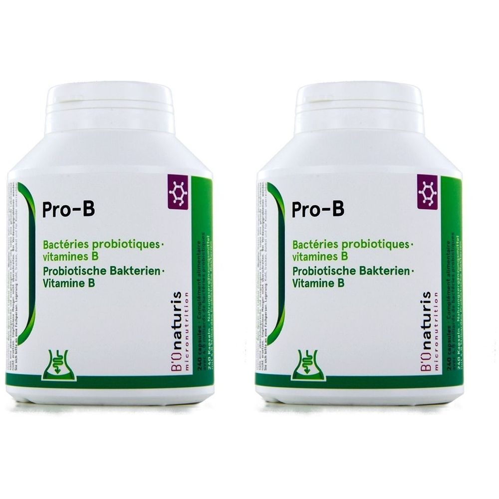 Deux flacons blancs avec étiquettes vertes et violettes. Inscription : Pro-B, bactéries probiotiques, vitamine B. Marque : B'Onaturis.