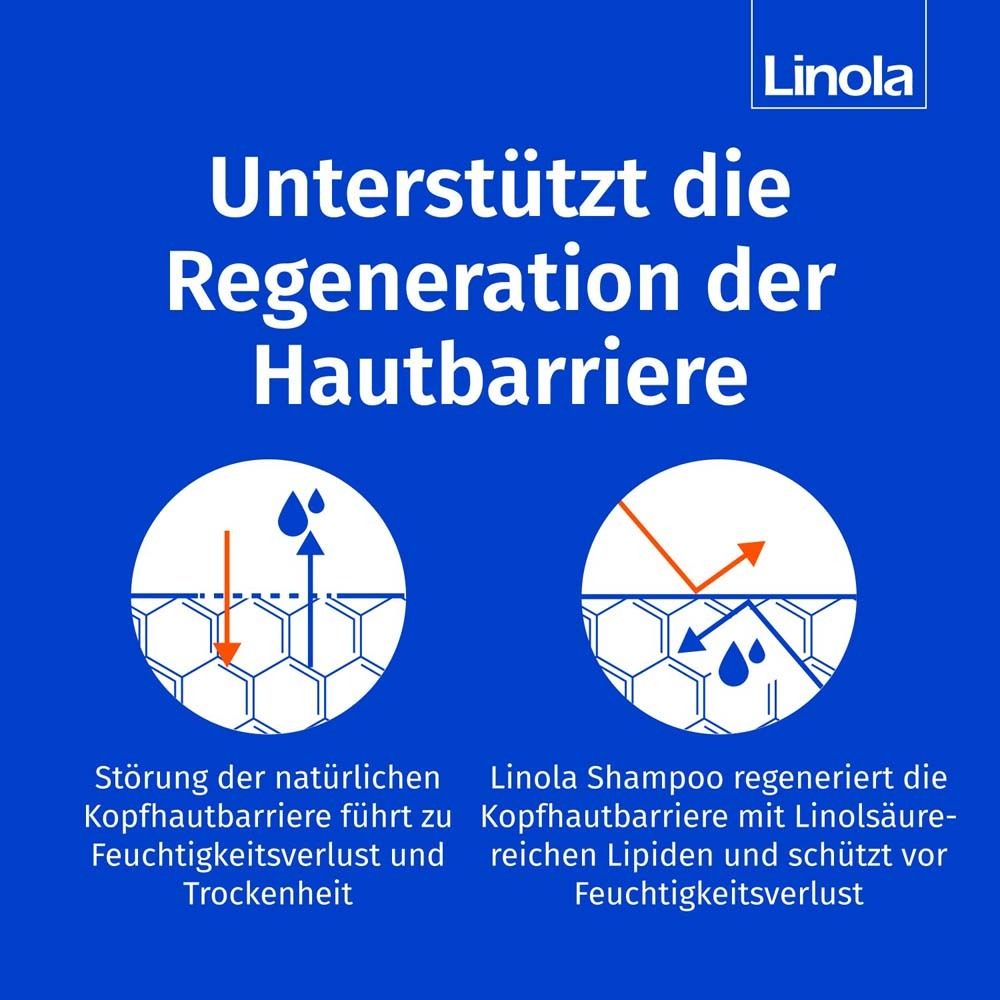 Graphique : Régénération de la barrière cutanée. Le shampooing Linola régénère la barrière cutanée avec de l'acide linoléique. Protège.