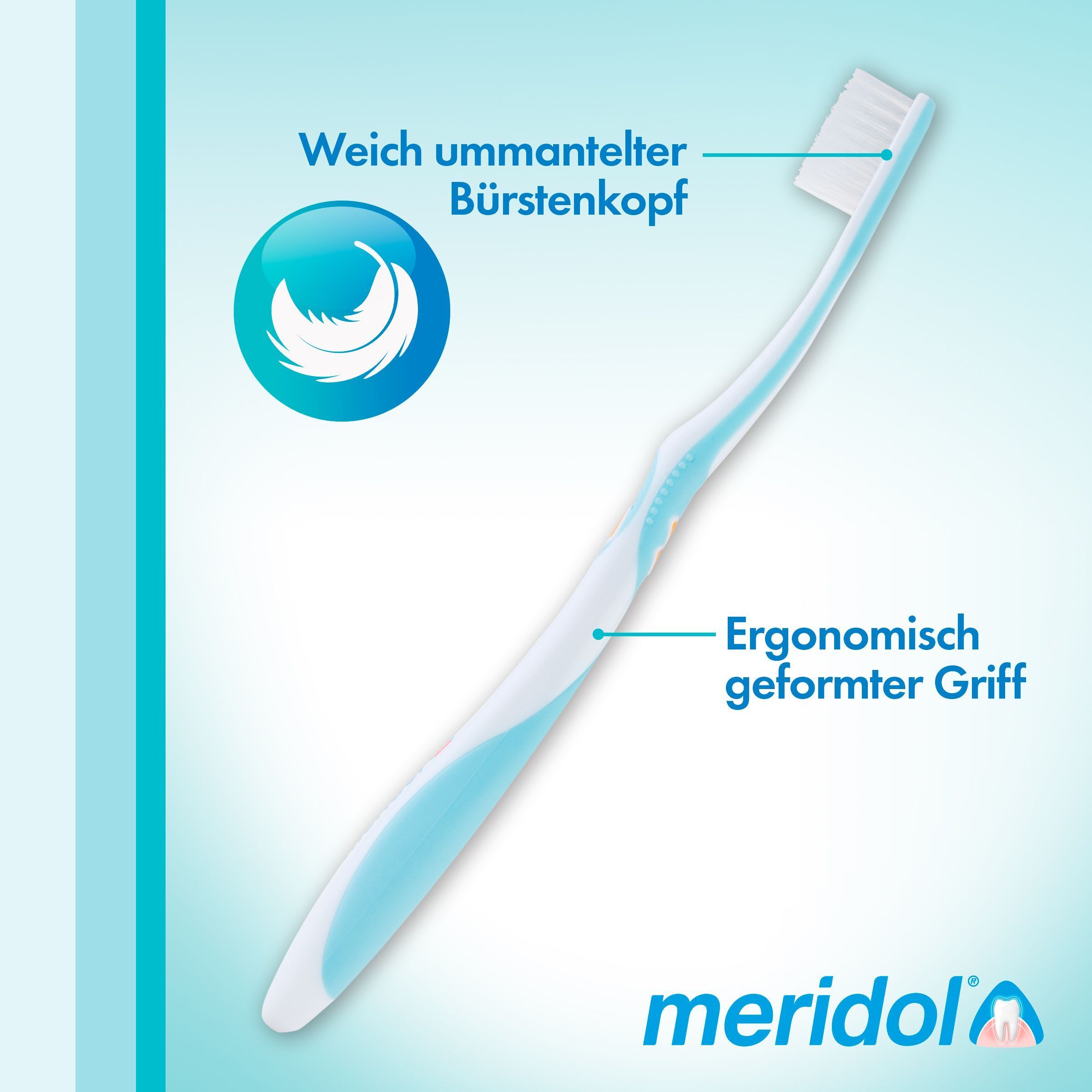 Brosse à dents avec manche bleu. Texte : Tête de brosse à poils souples, manche ergonomique. Logo meridol.