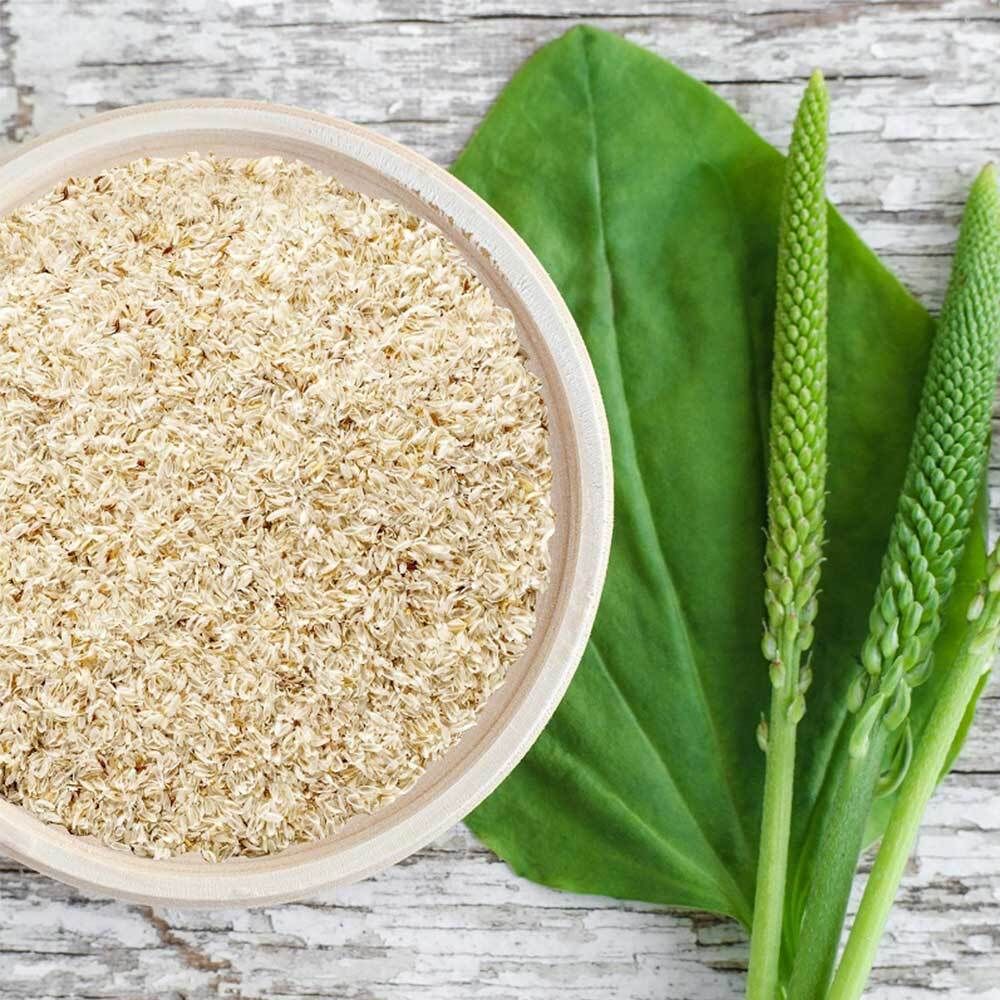 nu3 Enveloppes de psyllium Bio