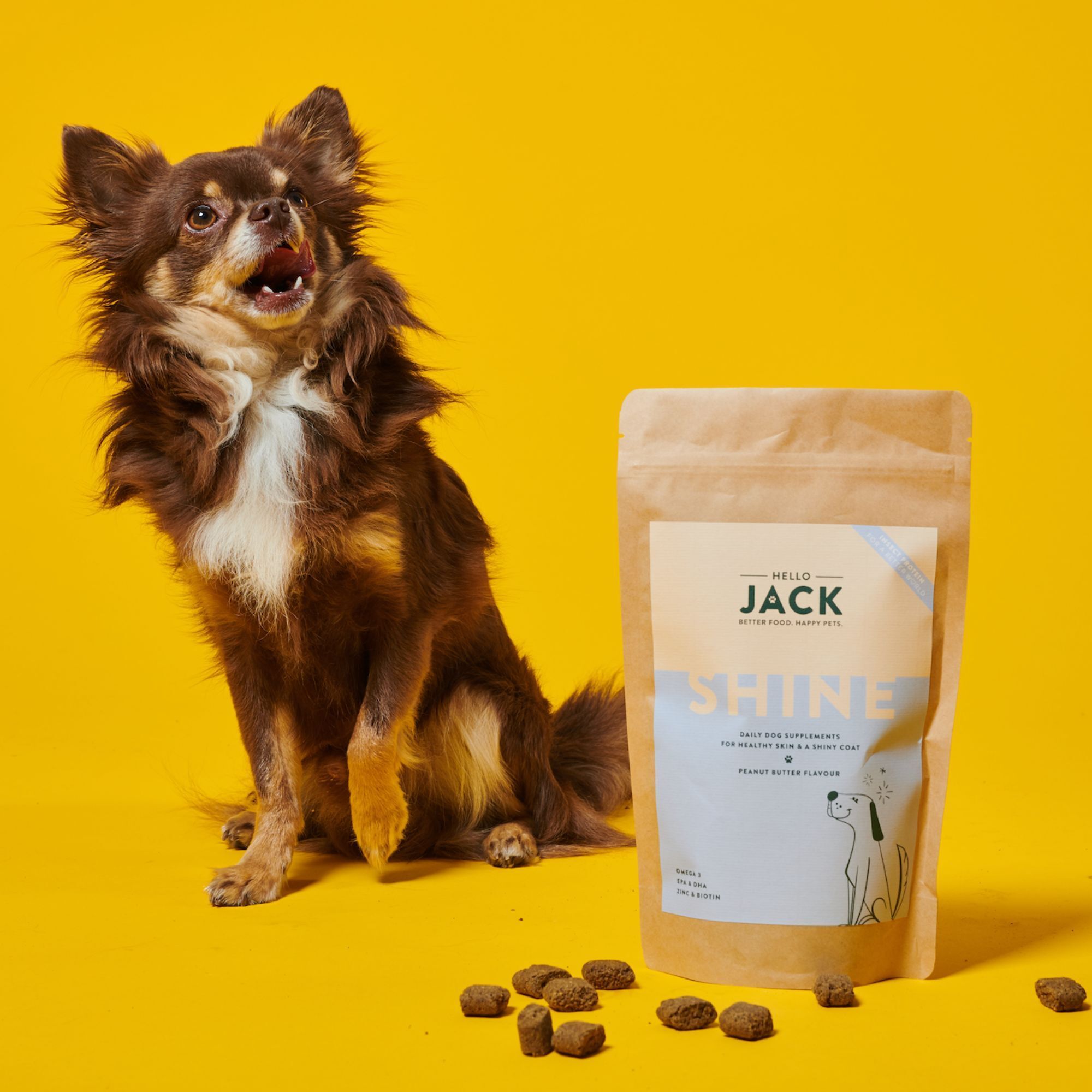 Chien à côté du sachet "Hello Jack Shine". Le chien regarde en l'air. Morceaux de nourriture à côté. Saveur beurre de cacahuète.