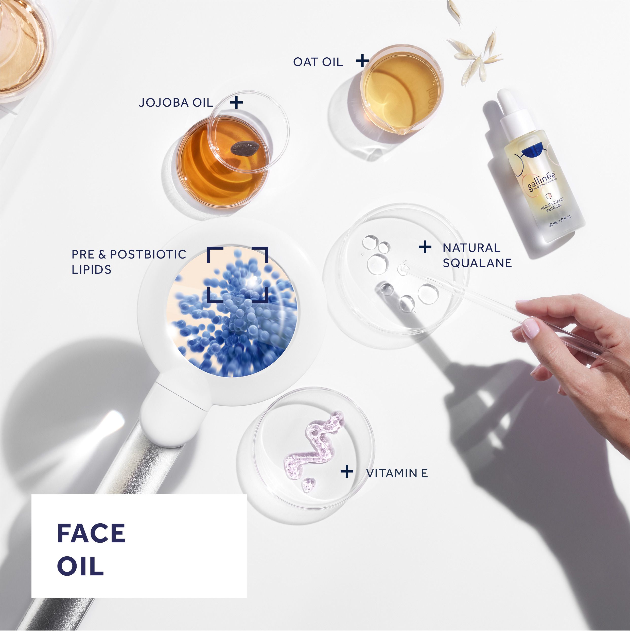 Installation de laboratoire avec échantillons d'huile et flacon d'huile pour le visage. Étiquettes : huile de jojoba, huile d'avoine, squalane naturel, vitamine E.