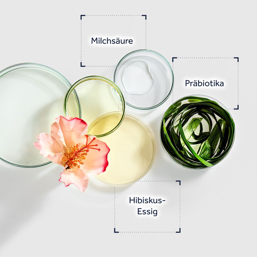 Boîtes de Pétri avec acide lactique, prébiotiques, vinaigre d'hibiscus et une fleur.