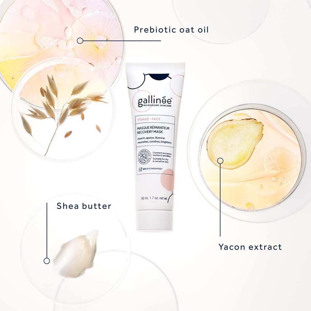 Tube gallinée™ Face Recovery Mask avec ingrédients : huile d'avoine prébiotique, beurre de karité, extrait de yacon.