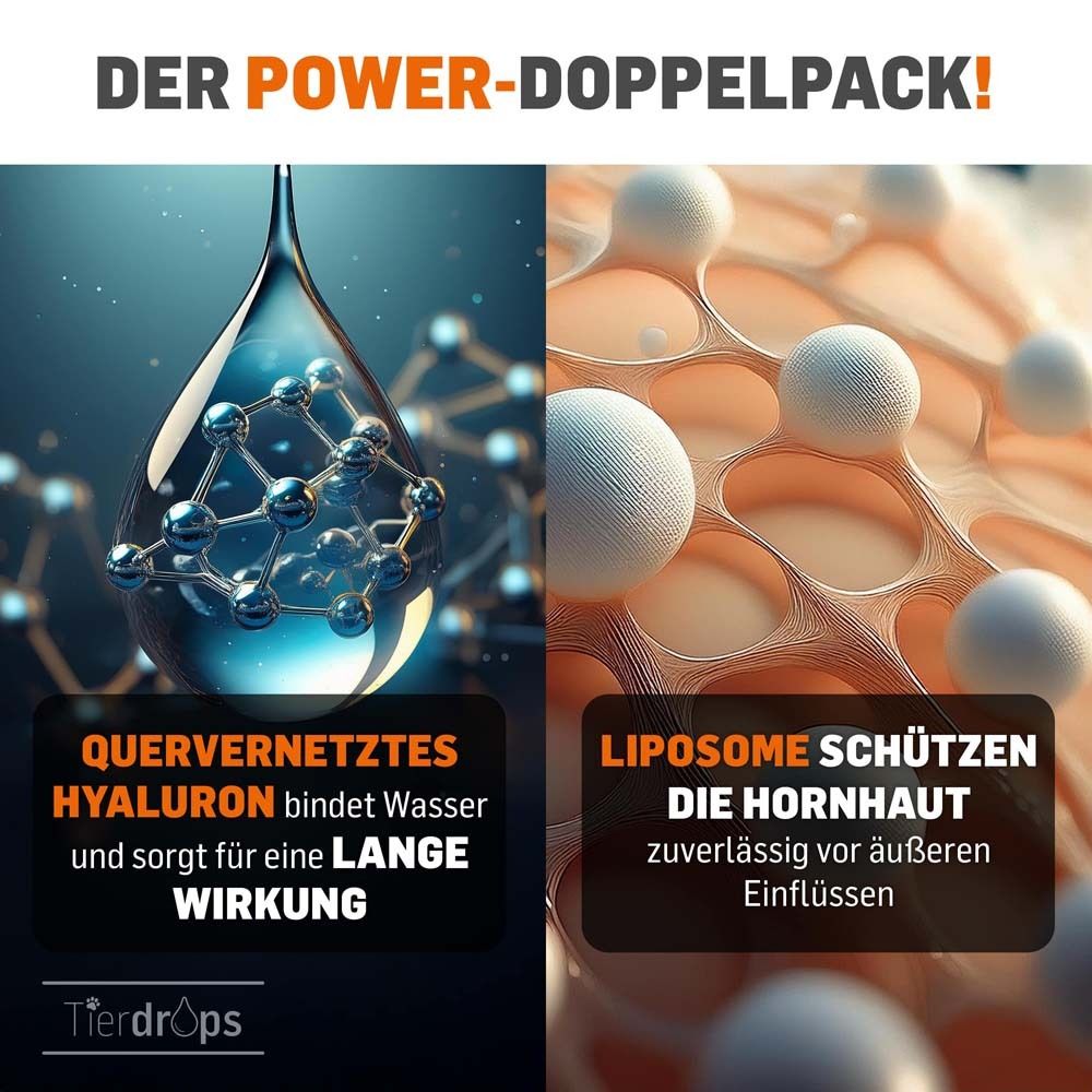 Représentation graphique de l'eau et des liposomes. Texte sur l'hyaluron et les liposomes.