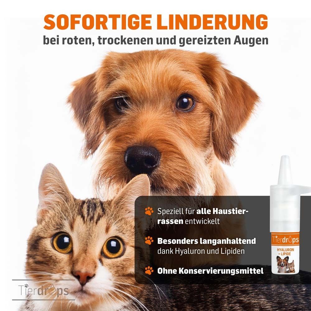 Chien et chat devant flacon de gouttes oculaires. Texte : Soulagement immédiat des yeux irrités.