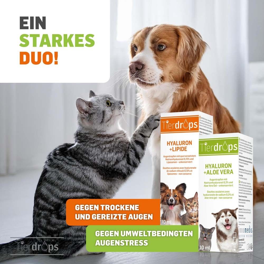 Chat et chien avec produit. Texte : Contre les yeux secs et irrités. Contre le stress oculaire environnemental. Flacons de 10 ml.