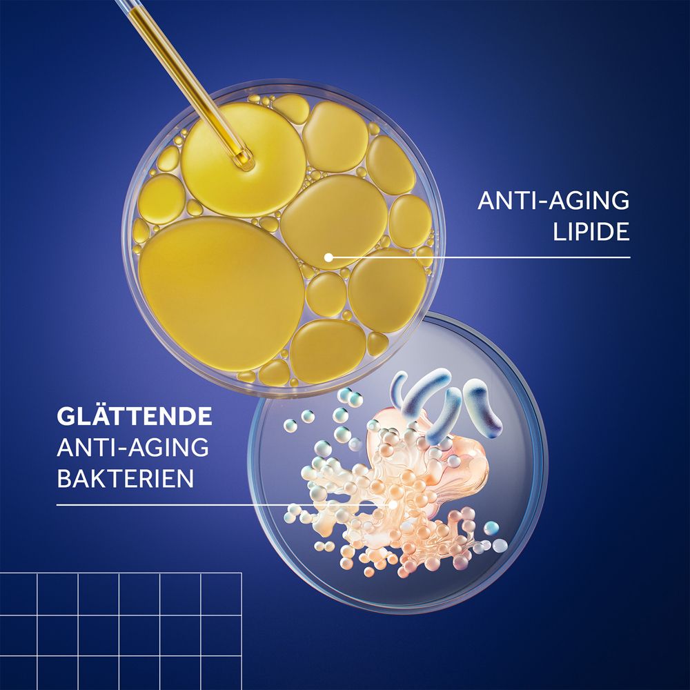 Représentation graphique. Deux cercles. En haut : Lipides anti-âge. En bas : Bactéries anti-âge lissantes.