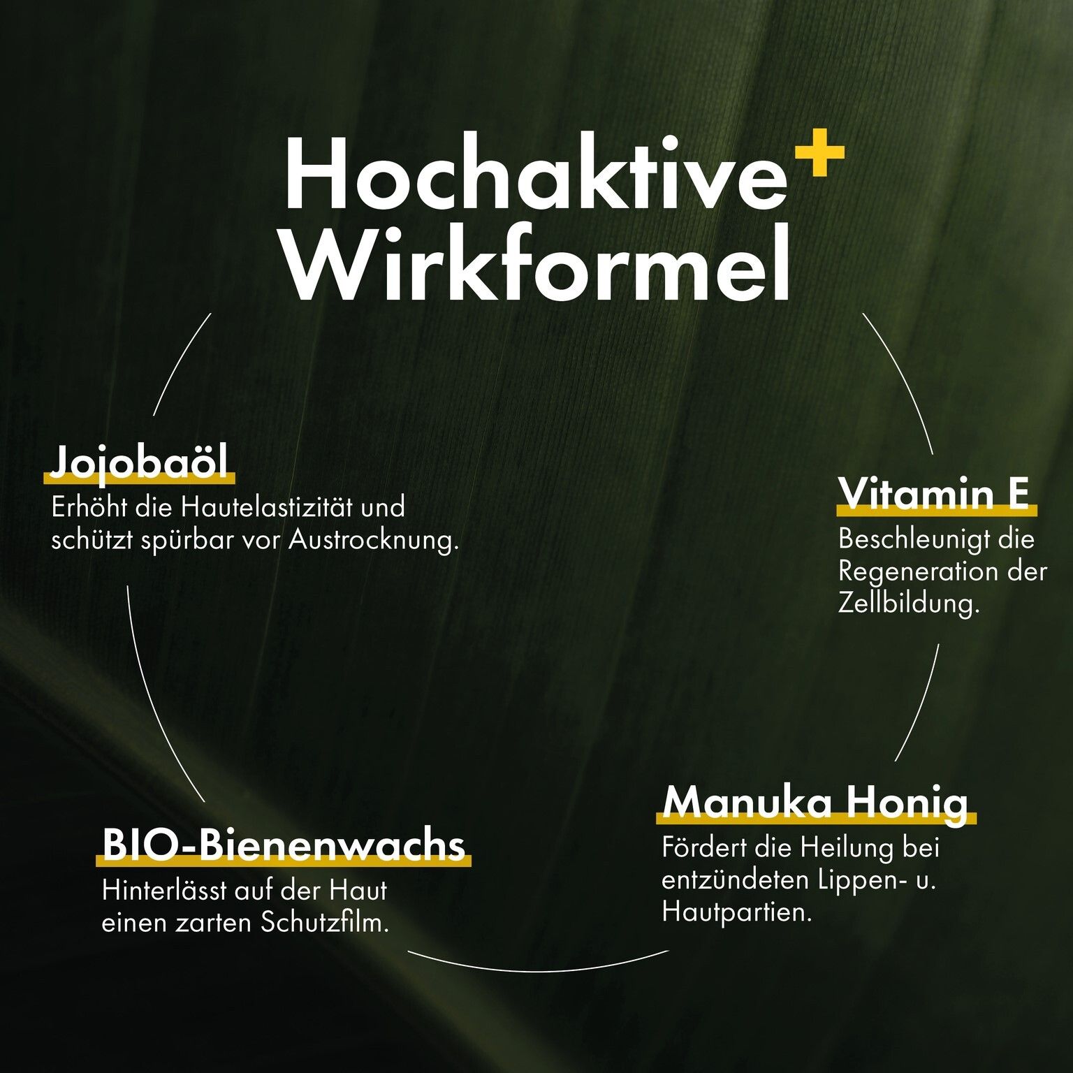 Graphique avec ingrédients: Huile de jojoba, vitamine E, cire d'abeille bio, miel de Manuka.
