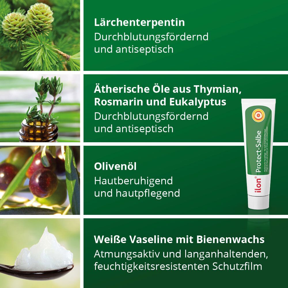 Graphiques des ingrédients : térébenthine de mélèze, huiles essentielles, huile d'olive, vaseline blanche. Tube ilon® Protect-Salbe.