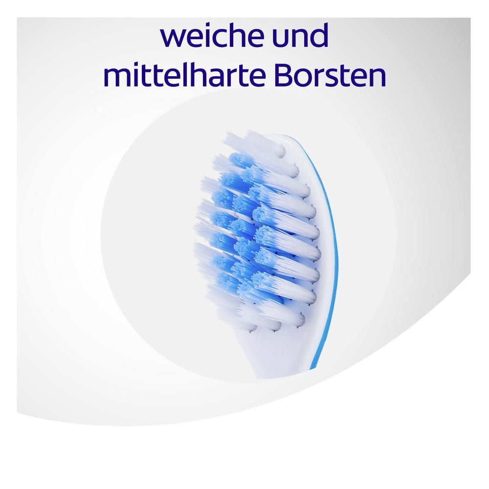Gros plan sur la tête de brosse à dents avec des poils bleus et blancs. Texte : poils doux et mi-durs.