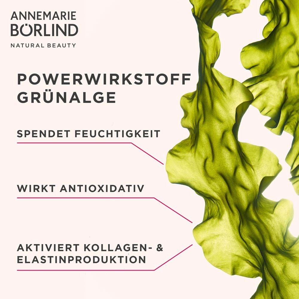 Algues vertes. Texte : PRINCIPE ACTIF ALGUE VERTE, hydrate, antioxydant, active le collagène.