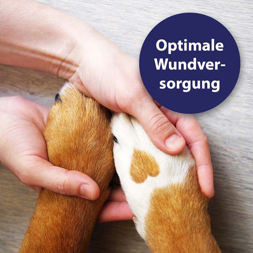 Des mains tiennent les pattes d'un chien. Un cercle indique "Soins optimaux des plaies".