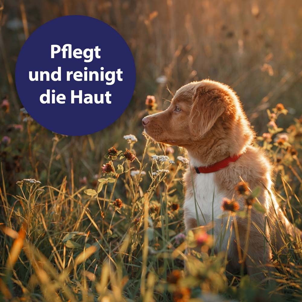Un jeune chien assis dans l'herbe. Un cercle bleu contient le texte "Soigne et nettoie la peau".