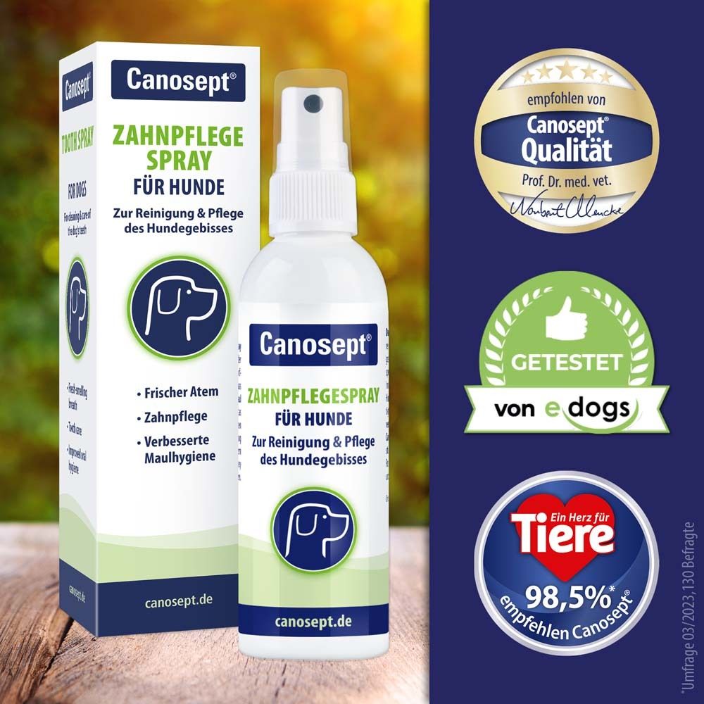 Spray Canosept pour l'hygiène dentaire des chiens. Bouteille et emballage. Logos : Testé, recommandé par les vétérinaires, qualité Canosept.