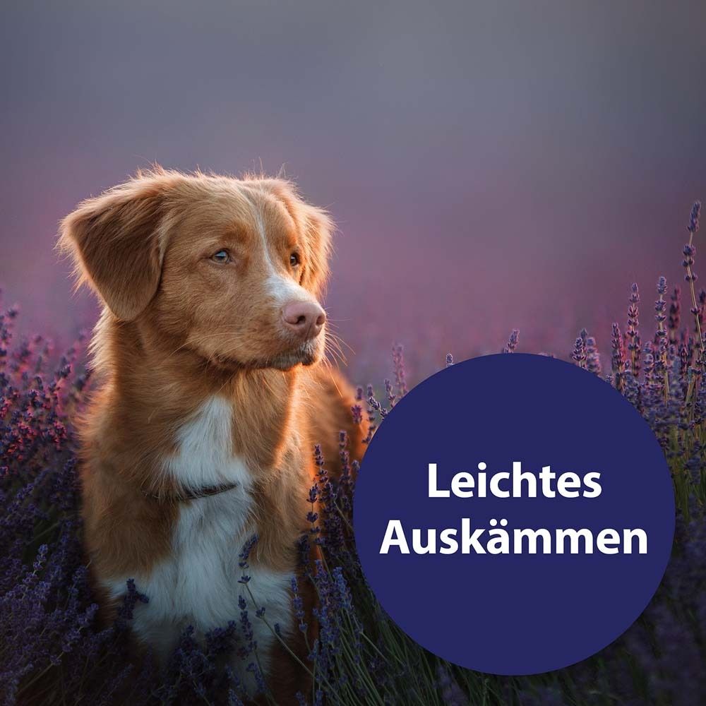 Un chien est allongé dans la boue. Un cercle bleu contient le texte "Repousse les salissures".