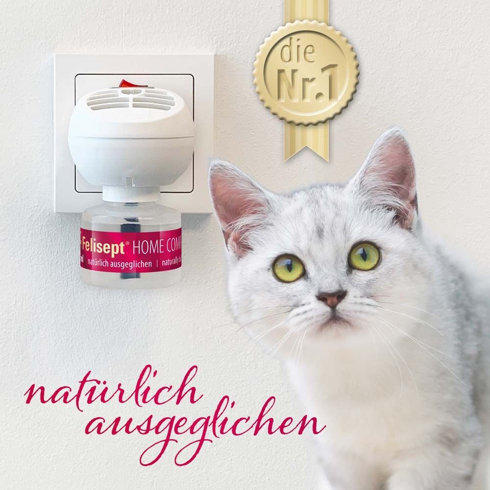 Diffuseur blanc dans une prise. Flacon avec texte rouge. Chat au premier plan. Médaille dorée avec texte.